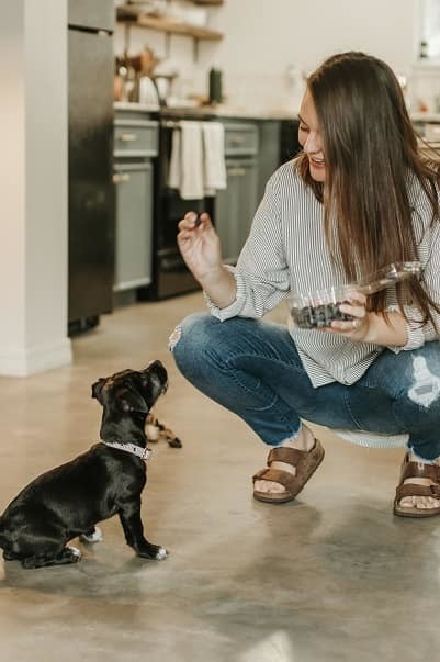 Senior picture with puppy