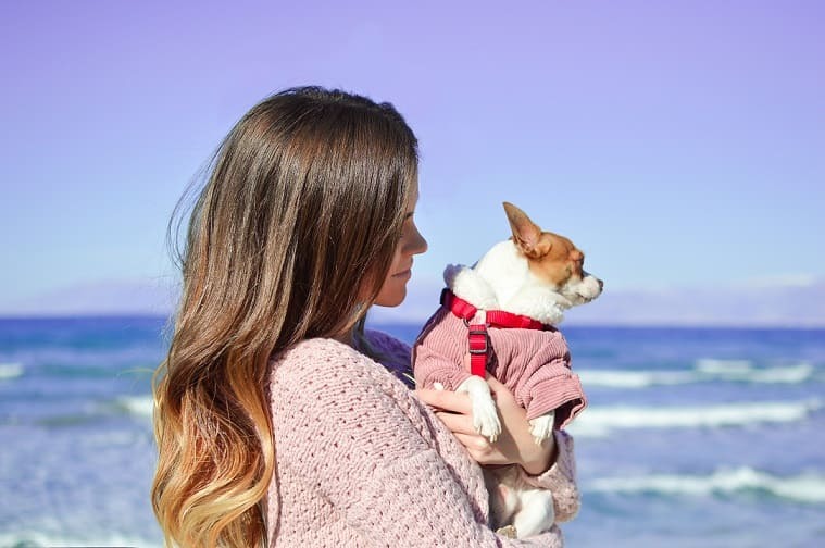 Nice senior picture of a girl and her dog