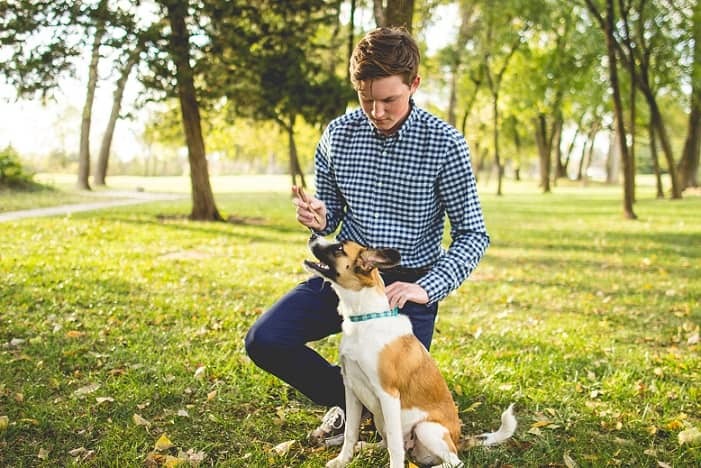 Boys senior picture with a dog